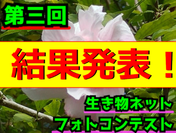 Thumbnail of post image 169